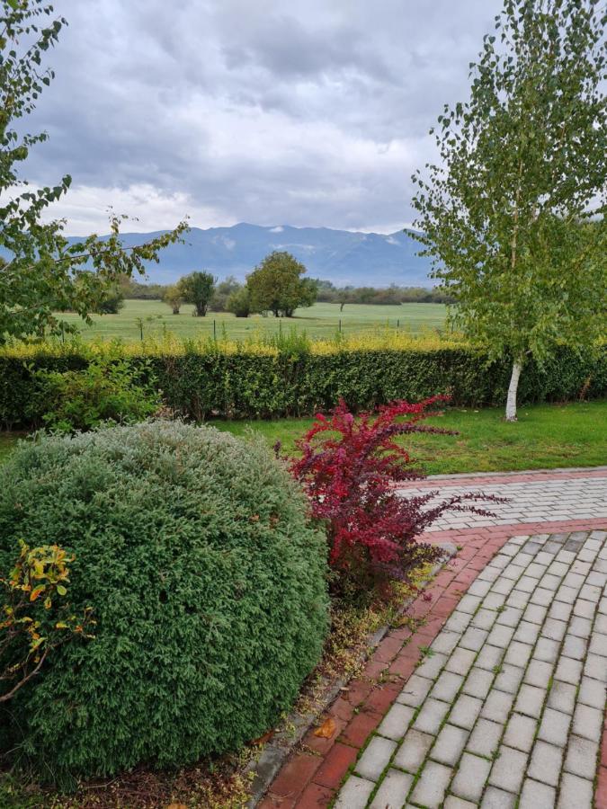 Guesthouse Green Fields Garmen Exterior foto